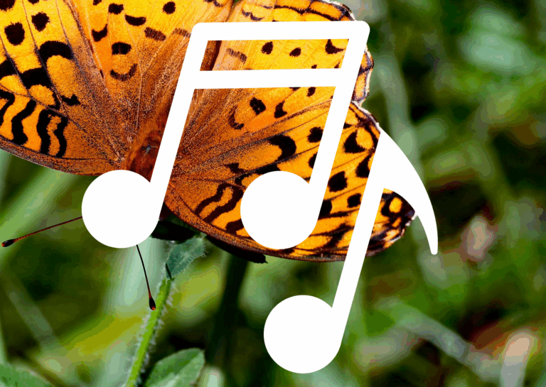 HABITATS & ANIMAL ADAPTATIONS: EXPLORING HABITATS THROUGH MUSIC COMPOSITION 3