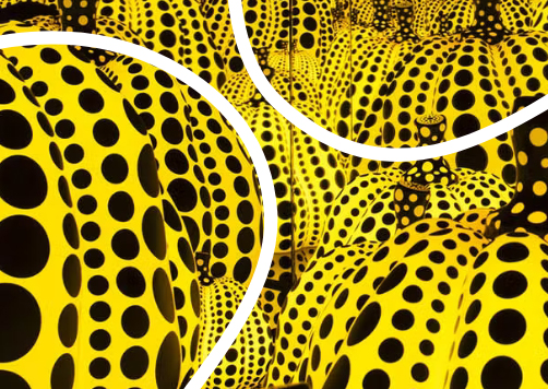 EXPRESSING IDENTITY THROUGH PATTERN AND COLOR 4