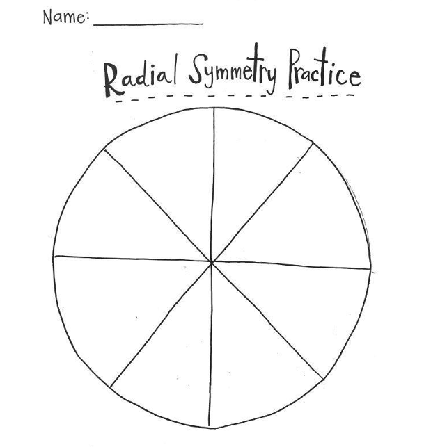 A worksheet titled “Radial Symmetry Practice” with a blank name line and a large circle divided into eight equal sections—perfect for mindful mandalas or mandala coloring activities.