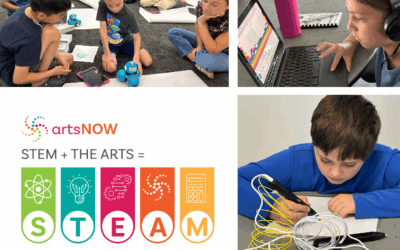 Understanding STEM and STEAM: Why the Arts Matter