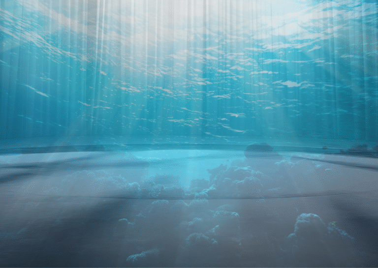 STAGE TO SAVE: INSPIRING CHANGE FOR ENDANGERED SPECIES 9-12