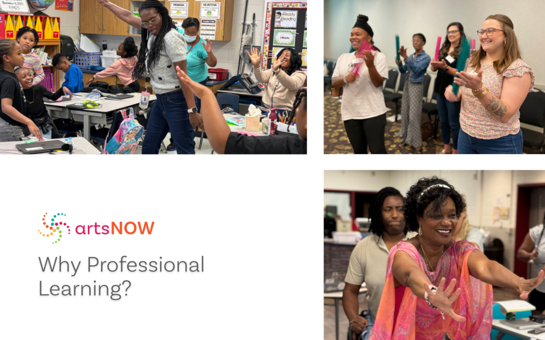 Why Professional Learning?